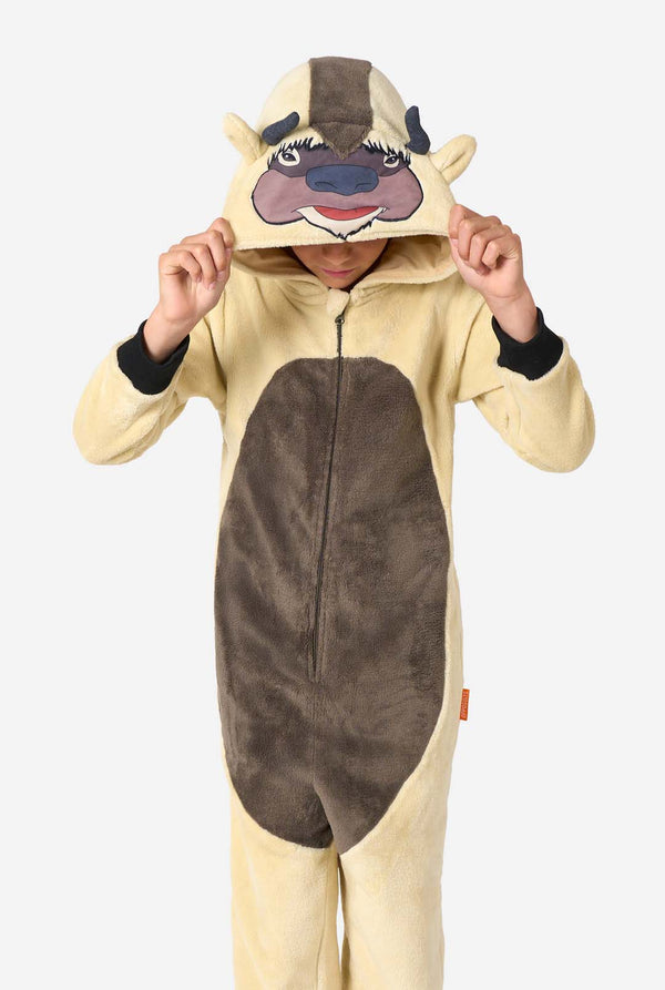Kind im Avatar-Appa-Onesie