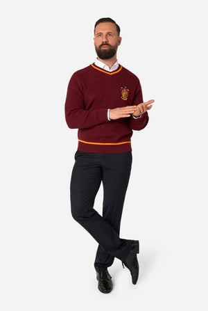 Harry Potter™ - Gryffindor