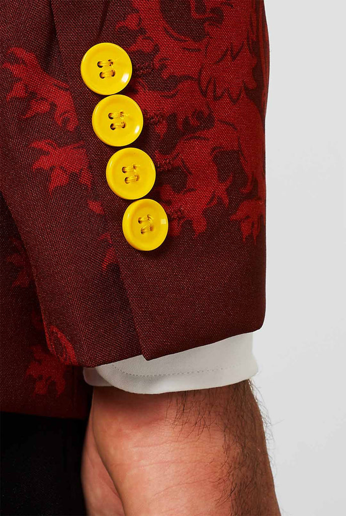 Harry Potter Red Gryffindor Anzugshülle vom Mann getragen