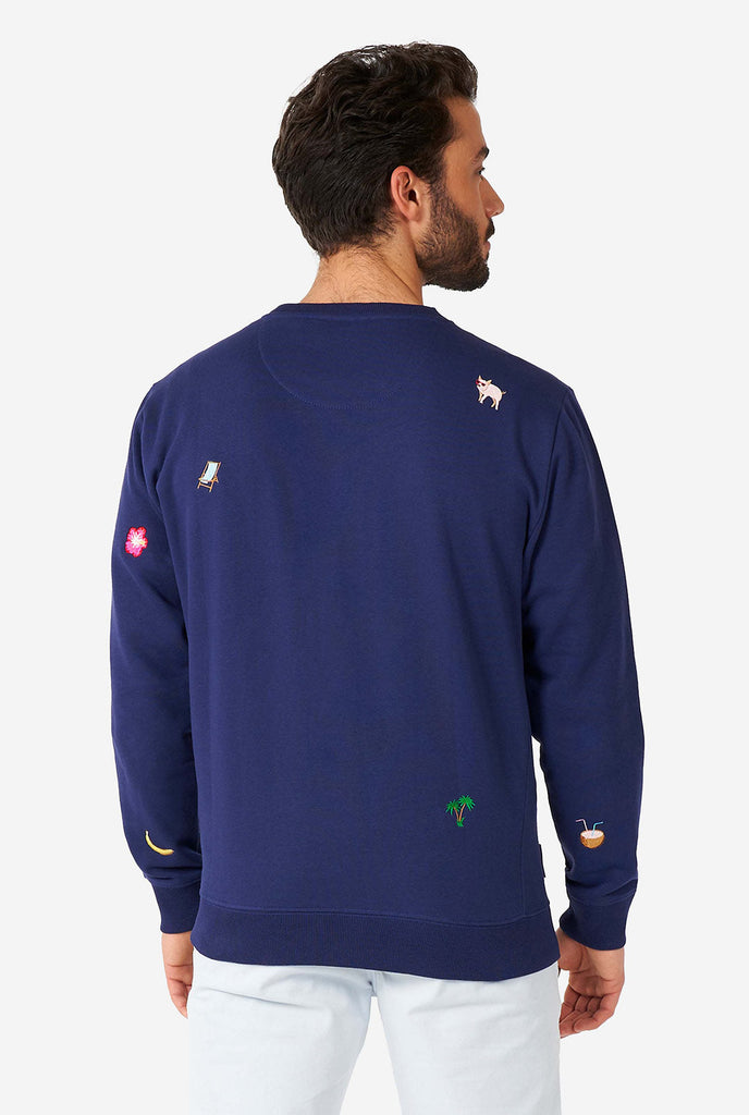 Mann, der blauen Pullover mit Sommer -Ikonen trägt, Blick von hinten