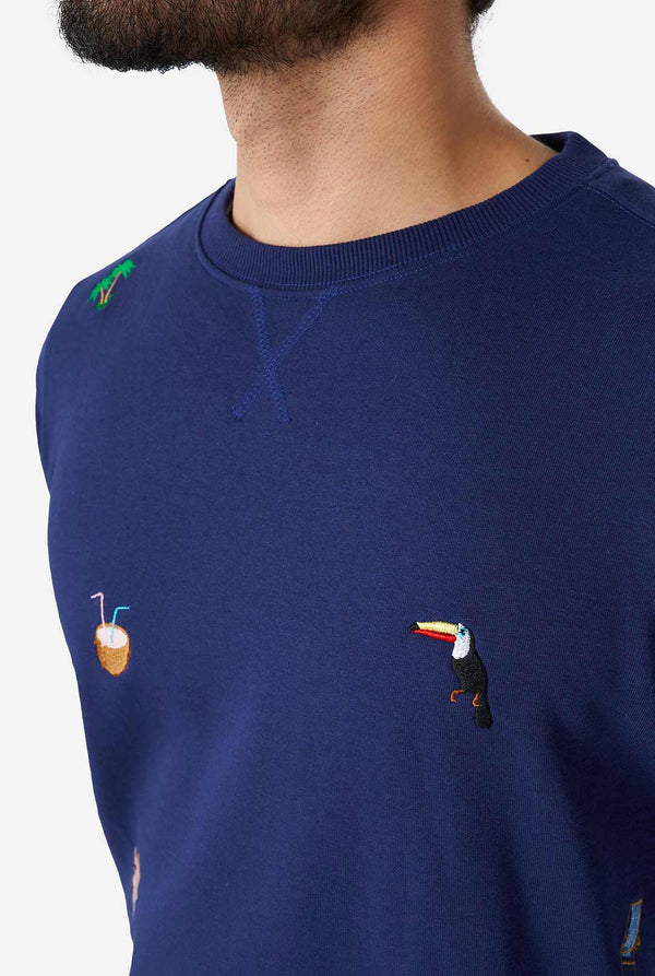Mann, der blauen Pullover mit Sommer -Ikonen trägt, Nahaufnahme