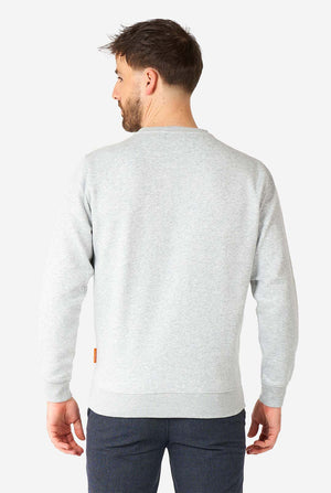 Mann, der graue Pizza -Party -Zitatpullover trägt, Blick von hinten