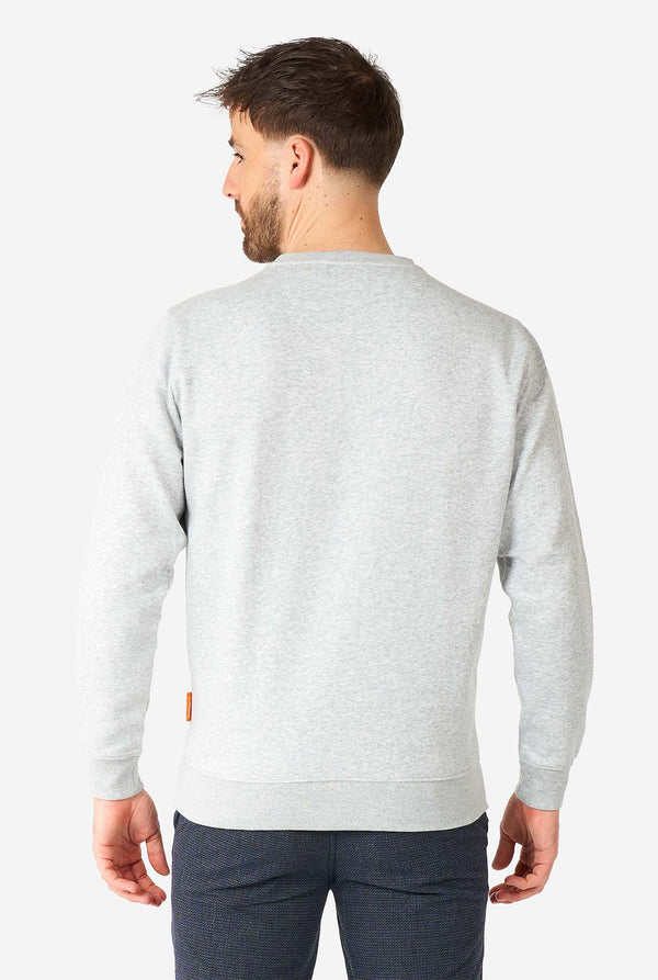 Mann, der graue Pizza -Party -Zitatpullover trägt, Blick von hinten